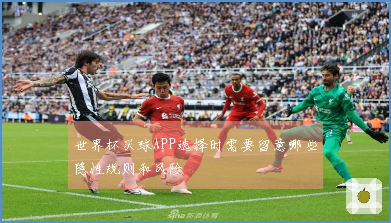 世界杯买球APP选择时需要留意哪些隐性规则和风险