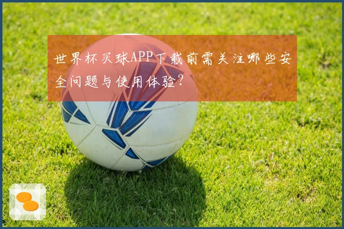 世界杯买球APP下载前需关注哪些安全问题与使用体验？