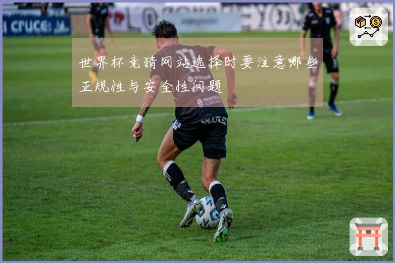 世界杯竞猜网站选择时要注意哪些正规性与安全性问题