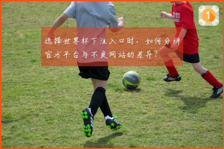 选择世界杯下注入口时，如何分辨官方平台与不良网站的差异？